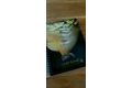 Carp Time Deník kapraře Carp Book