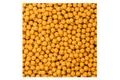 LK Baits Fresh Boilies IQ Method Feeder 10-12mm 150 ml