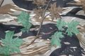 Mivardi Obal na pruty Multi 145 Camo II. - Limitovaná edice