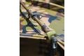 Fox Bivak Eos Camo Pro Bivvy 1 person