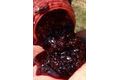 Starbaits Add'IT Bloodworm Liquid 500ml