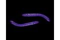 Libra Lures Fatty D’Worm Fialová s Trblietkami