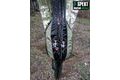 R-Spekt Pouzdro na 2 pruty polstrované khaki Double LUX s kapsou 11´