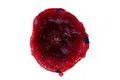 LK Baits Nástraha CUC! Raisin 50g