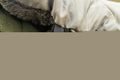 Giants fishing Spací pytel 5 Season Luxury Sleeping Bag