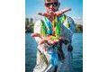 Fox Rage Nástraha Giant Spinnerbait 40g