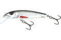 Salmo Wobler Minnow Floating 6cm