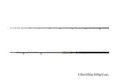 Delphin Prut Energy Catfish 3,1m 250-500g