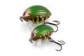 Salmo Wobler Lil’ Bug Green Bug