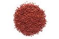 Mivardi Pelety Rapid Extreme Robin Red 1kg