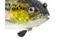 Westin Gumová nástraha Tommy The Trout Multi Jointed R2F Real Trout