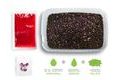 Delphin Pellet box Reaxe Ready&Go 400g