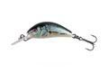 Salmo Wobler Hornet Floating Real Dace