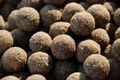 LK Baits Boilie Fish Activ 20mm 250ml