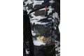 Savage Gear Kalhoty Camo Trousers