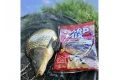 Chytil Krmítková směs Carp Mix 800g