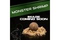Nash Boilies Monster Shrimp Hard Hookbaits 125g