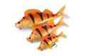 Fox Rage Gumová nástraha Ultra Realistic Replicant Perch Golden Perch