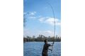 Fox Prút Horizon X3 12ft 2.25lb Floater Rod Cork Handle