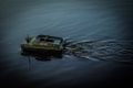 Devict Zavážecí loďka Catamaran Fishing robot
