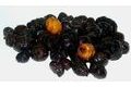 CC Moore Steeped Black Tiger Nuts - fermentovaný černý tygří ořech 2,5l
