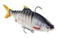 Westin Gumová nástraha Ricky The Roach Multi Jointed R2F Real Roach