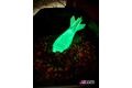 LK Baits Zakrmovací raketa Night Glow