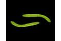 Libra Lures Fatty D’Worm Apple Green