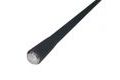 Zfish Prut Black Jack 12ft 3lb