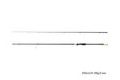 Delphin Prut Zandera XCS 40T 210cm 3-21g