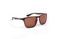 Shimano Polarizační brýle Eyewear Ultegra Tortoiseshell & Copper