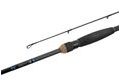 Delphin Prut Addyct Flw 6,6ft 30g Medium Light