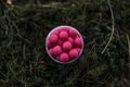 LK Baits Pop-up Euro Economic Spice Shrimp 18mm 200ml