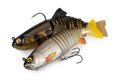 Fox Rage Gumová nástraha Replicant Jointed Colours Golden Perch
