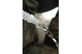 Black Cat Kanystr Water Carrier 5l