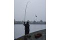 Korda Prut Kaizen Green 12' 6" Spod