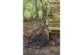 Zebco Podběrák DB Series Latex Diamond Net 50cm
