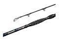 Delphin Prut Hazard Darx 3,1m 500g