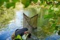 Nash Podběrák Scope OPS Retract Landing Net 42"