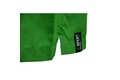 R-spekt Koupací šortky Carp Friend green