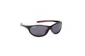 Shimano Slnečné okuliare Eyewear Catana Grey/Black