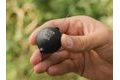 Delphin Zátěž bez olova EcoCATF BALL Rubber
