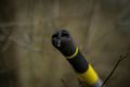 Black Cat Prut Perfect Passion X Vertical 1,9m 240g