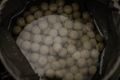 Nikl Boilies Economic Feed Rape Cloud 5kg