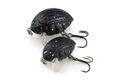 Salmo Wobler Lil’ Bug Weevil