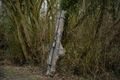 Nash Pouzdro na prut Subterfuge Hi Protect 13ft 1 Rod Skin