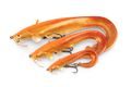 Fox Rage Gumová nástraha Ultra Realistic Replicant Catfish Golden Wels