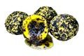 LK Baits Nutrigo Balanc Particle Honey Rape 200ml