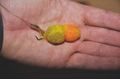 Mikbaits Ultra Slime obalovací dip 100g