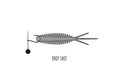 Libra Lures Turbo Worm 5,6cm 8ks